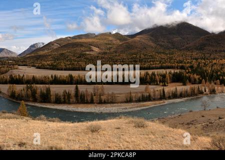 A panoramic shot of a bend in the bed of a beautiful river flowing through a coniferous forest in the steppe at the foot of a high mountain with peaks Stock Photo