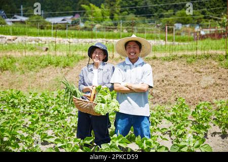Man and woman standing in field with vegetables Stock Photo