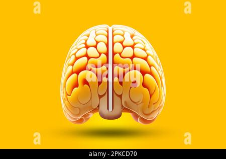 two-part Human Brain trees yellow isolated illustration concept art yellow background Stock Photo