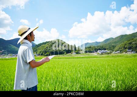 Man operating a tablet in front of a paddy field Stock Photo