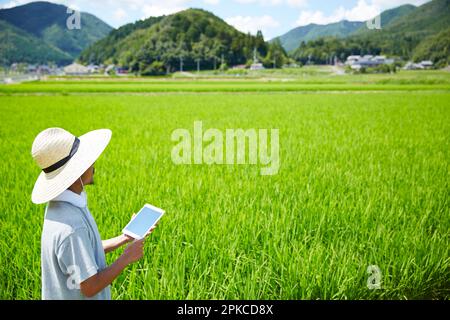 Man operating a tablet in front of a paddy field Stock Photo