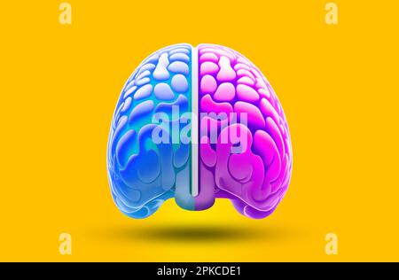 two-part Human Brain trees yellow isolated illustration concept art yellow background Stock Photo