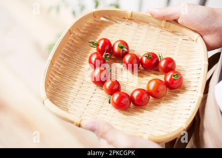 Woman's hand holding a small tomato in a colander on the terrace Stock Photo