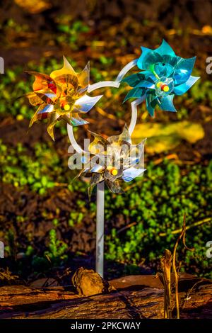Children's colored shiny windmill close-up on a decorative spruce. Stock Photo
