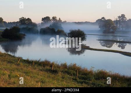 Morning fog, NSG Steinhorster Becken, Steinhorst, North Rhine-Westphalia, Germany Stock Photo
