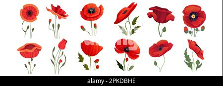 set vector illustration of poppy flowers isolate on white memory concept Stock Vector