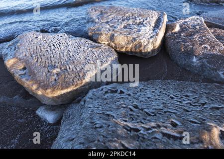 Melting ice floes are on the coast of Baltic Sea, natural winter background Stock Photo
