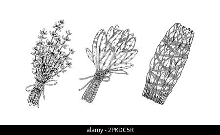 Herbal bunches. Set of hand drawn leaf seasonings. Vector illustration in sketch style. Stock Vector