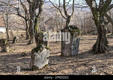 Đurići, Šekovići, Bosnia and Herzegovina – February 2023: Necropolis with medieval Stecak tombstones Bečani is inscripted as UNESCO world heritage sit Stock Photo