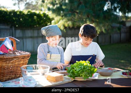 Brothers making sandwiches in the garden Stock Photo