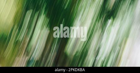 A green tree in the background swirl strokes smeared effect Stock Photo