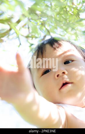 Baby reaching out Stock Photo