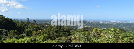 Enjoying the gifts of Mother Nature at the enchanted Island  of Puerto Rico Stock Photo