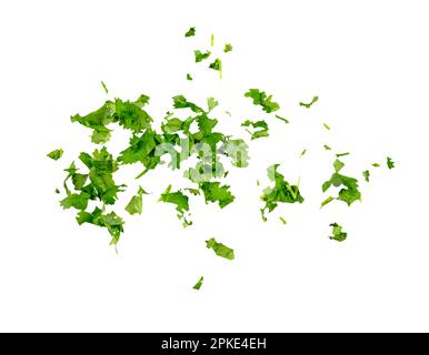 Chopped cilantro leaves as green seasoning flying, falling isolated on white background, clipping path Stock Photo