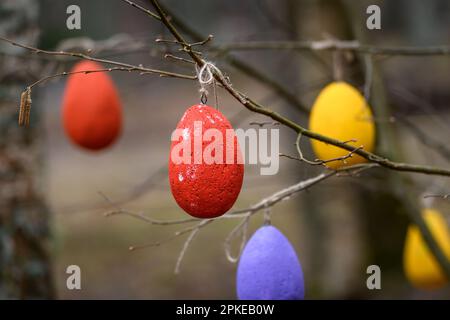 Selective focus photo. Colorful Easter egg decors hanged on branch of tree. Stock Photo