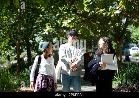 Three young people walking side by side laughing Stock Photo
