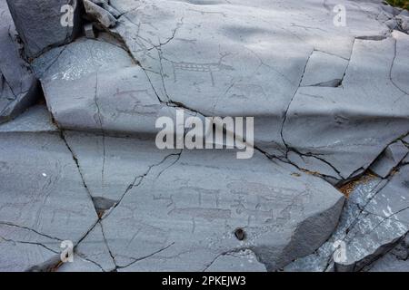 Ancient stone carving at Alta Museum, Alta Norway. Believe to be made ...