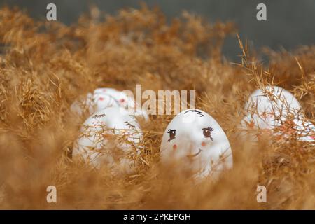 Easter card. Hand made Easter eggs lie in dry natural pampas grass. Painted gentle faces and red hearts. Dry golden reed. Defocused focus on foreground. Happy holidays. Minimalist style. Copy Space Stock Photo