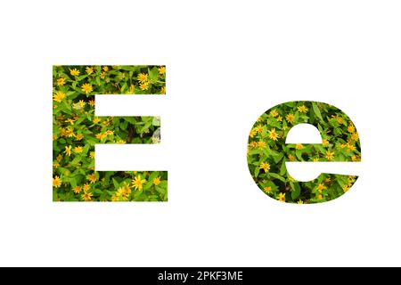 Flower font Alphabet  isolated on white background made of Real alive yellow flowers Stock Photo