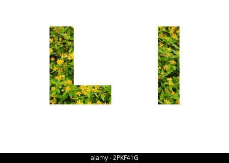 Letter B Green Grass Stock Illustrations – 260 Letter B Green Grass Stock  Illustrations, Vectors & Clipart - Dreamstime