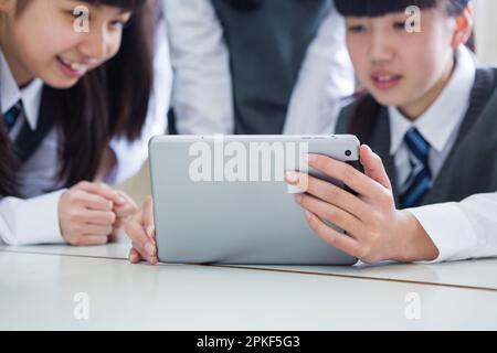 Junior high school girls doing group work Stock Photo