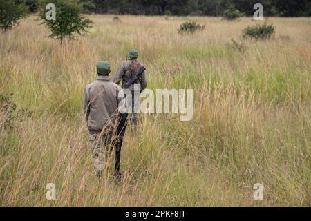 Rangers armed with guns in animal conservation park in Zimbabwe, in Imire Rhino and Wildlife Conservancy Stock Photo