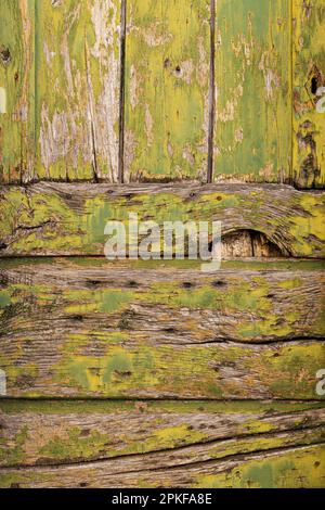 Peeling  green paint on an old wooden door in Tuscany Stock Photo