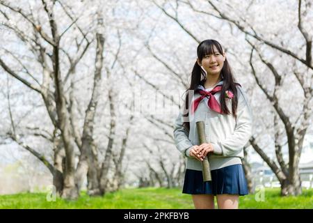 Schoolgirl standing in a row of cherry blossom trees Stock Photo