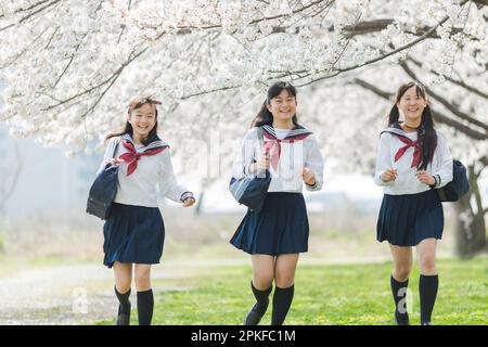 Schoolgirl running along the row of cherry blossom trees Stock Photo