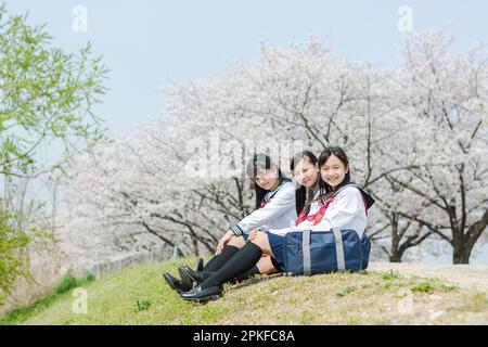 Schoolgirl sitting on the lawn Stock Photo