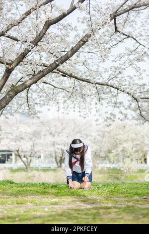 Schoolgirl doing calligraphy under the cherry blossom tree Stock Photo ...