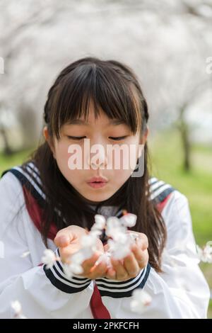 Schoolgirl who collected cherry blossoms in the palm of her hand Stock Photo