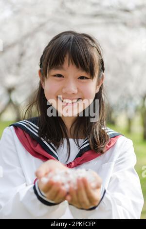 Schoolgirl who collected cherry blossoms in the palm of her hand Stock Photo