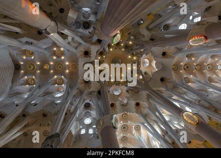 Interior walls, ceiling and windows of Sagrada Familia, Barcelona, Spain Stock Photo