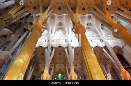 Interior walls, ceiling and windows of Sagrada Familia, Barcelona, Spain Stock Photo