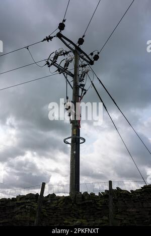 An 11kV overhead line pole seen from the Dales High Way long distance path in Yorkshire. Stock Photo