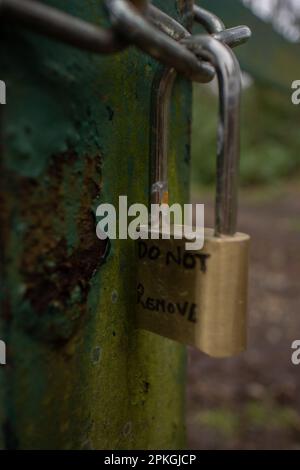 Woodland items Stock Photo