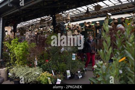 Paris, France. 07th Apr, 2023. A couple of tourists are seen walking in the flower market in central Paris. Tourists are avoiding Paris as a holiday destination despite the long Easter Bank holidays due to the ongoing concerns of the protests and strikes targeting on the pension reform plans proposed by President Macron. Credit: SOPA Images Limited/Alamy Live News Stock Photo