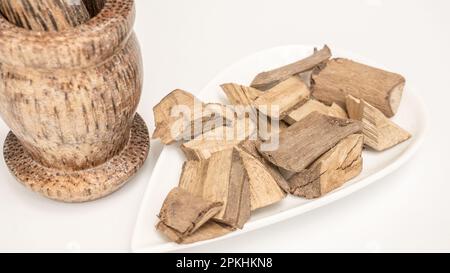 Vitex negundo/ Chinese chaste tree ayurvedic plant bark Stock Photo
