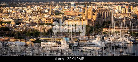 View over Palma de Majorca in the evening light, with harbour with sailing boats, cathedral and royal palace La Almudaina, Palma de Majorca, Majorca Stock Photo