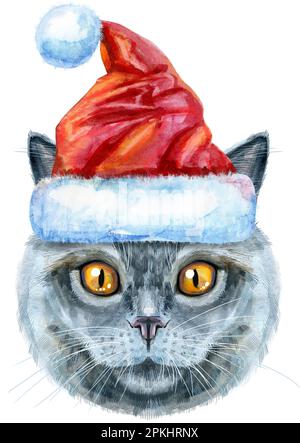 Cute cat Santa hat. Cat for t-shirt graphics. Watercolor British Shorthair illustration Stock Photo