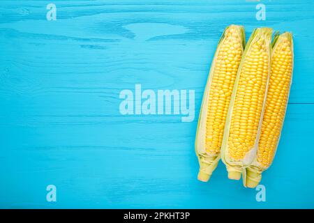 Three fresh corn on blue background with copy space. Top view Stock Photo