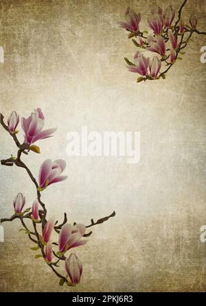 Old paper frames with a rose on the vintage background Stock Photo - Alamy