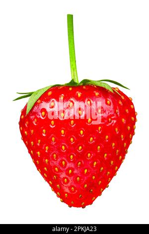 Fresh ripe strawberries. The structure of the berry is clearly visible. Isolated on white background. File contains clipping path Stock Photo