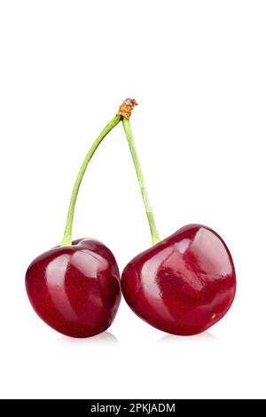 Two ripe red cherries on a stalk. Isolated on white background. File contains clipping path Stock Photo