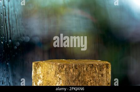 An old round wooden saw cut cylinder shape for product display with colorful bokeh abstract background Stock Photo
