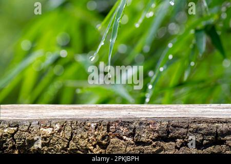 Old wood empty table for product display in front of bamboo green leaves, shallow focus Stock Photo