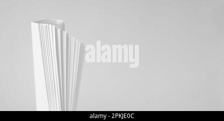 Rolled up magazine, newspaper, selective focus, white background,large copy space Stock Photo