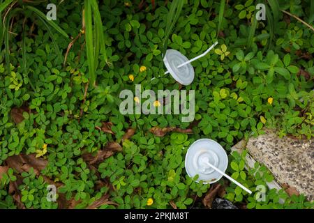 waste of plastic cups and straws in a city park Stock Photo