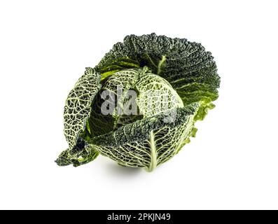 Head of fresh green kale on an isolated white background. Stock Photo